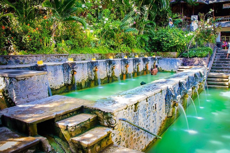 Bali: Excursión al Norte de Bali con Cascada, Vihara y Aguas Termales