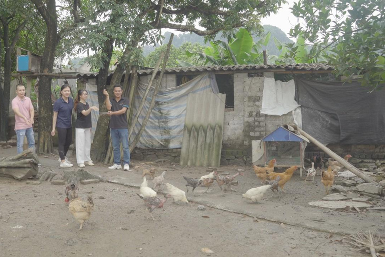 Ninh Binh 2 Dagen 1 Nachten Kleine Groep Van 9 Tour Vanuit Hanoi