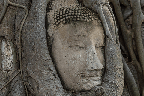 From Bangkok: Ayutthaya Must-Visit Temples with Café Private Day Tour