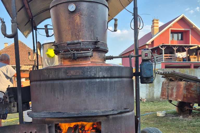 From Belgrade: Rakija-Making Experience with Lunch