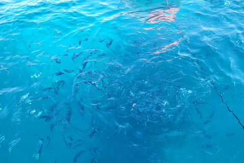 Yacht Me Up Cruzeiro Privado com Tudo Incluído Cannes Lérins SailUm dia na baía de Cannes com tudo incluído