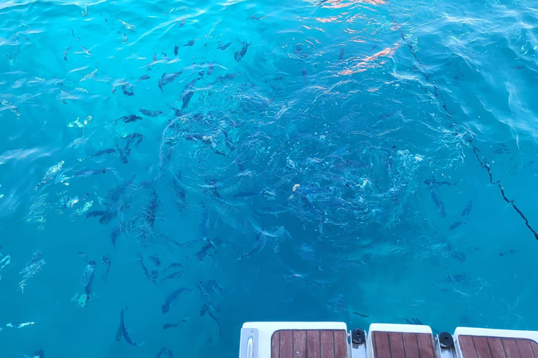 Yacht Me Up Cruzeiro Privado com Tudo Incluído Cannes Lérins SailUm dia na baía de Cannes com tudo incluído