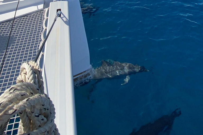 Luxury Private Catamaran to Île aux Benitiers