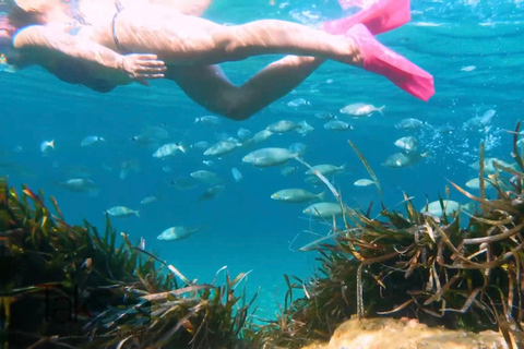 Saint Raphaël: "Secret Beaches" Cruise Tour - Chill & Paddle Saint-Raphaël: “Secret Beaches” Boat Tour – Chill & Paddle