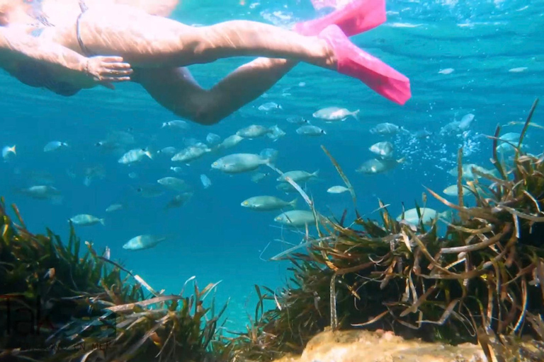 Saint Raphaël: "Secret Beaches" Cruise Tour - Chill & Paddle Saint-Raphaël: “Secret Beaches” Boat Tour – Chill & Paddle