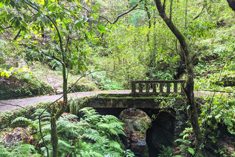 The Fabulous Pico do Arieiro - 4-hour Immersive Experience