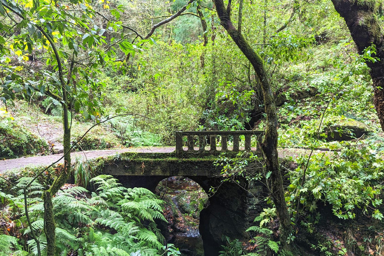 The Fabulous Pico do Arieiro - 4-hour Immersive Experience