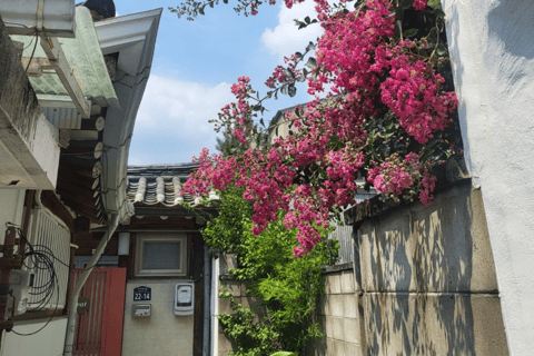 Gyeongbok-gung and Seochon walking tour with coin lunchbox Gyeongbok-gung & Seochon Walking Tour (Hanbok Experience)