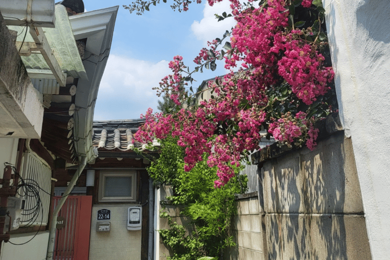 Gyeongbok-gung and Seochon walking tour with coin lunchbox Gyeongbok-gung & Seochon Walking Tour (Hanbok Experience)