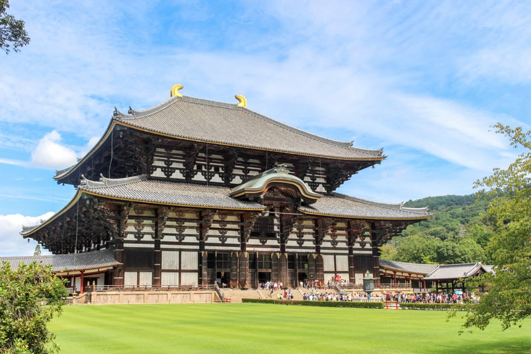 Kyoto, Nara & Deer Park Day Tour from Osaka