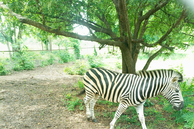 Accra: Shai Hills Resource Reserve Half-Day Tour