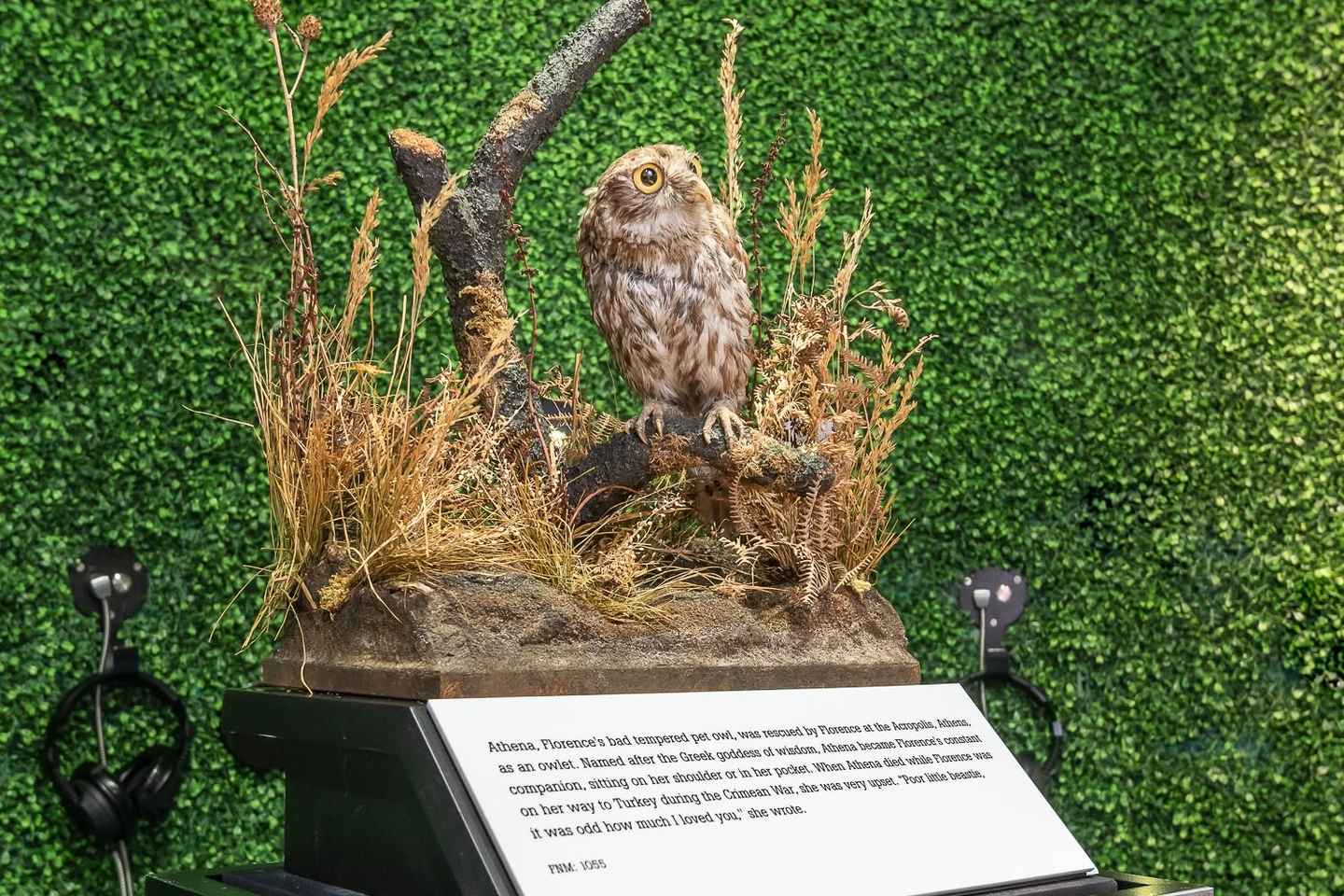 Londres: Entrada al Museo de Florence Nightingale