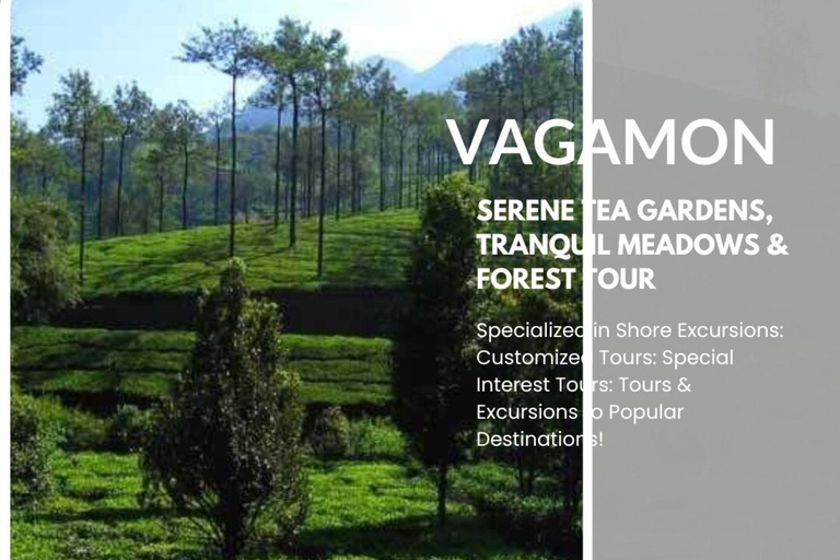 Klein Munnar: Vagamon Serene Teegärten, Wiesen und Wälder