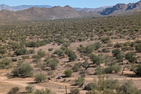 Mesa: Copper Mile Desert Hike