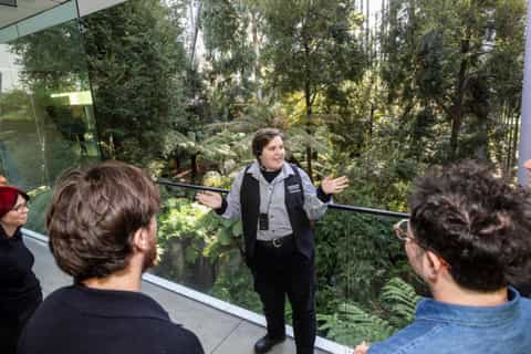 Museo de Melbourne Museos y exposiciones: lo MEJOR de 2025