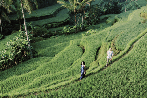 Bali: All-Inclusive Ubud Private Tour with Lunch All-Inclusive Ubud Private Tour with Lunch