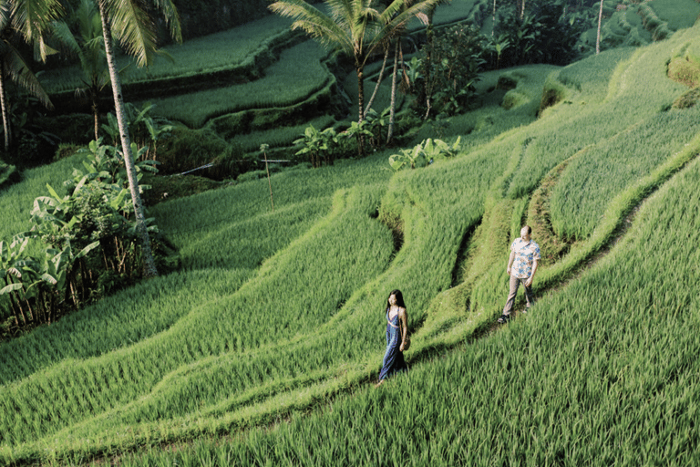 Bali: All-Inclusive Ubud Private Tour with Lunch All-Inclusive Ubud Private Tour with Lunch