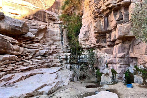 Hurghada Qattar Mountain Adventure: 4WD & Stargazing Hurghada: Gattar Mountain,Off-Road & lunch