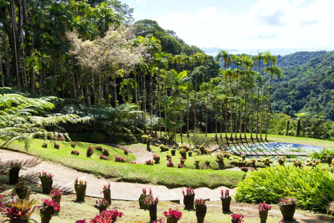Private Island Tour of Martinique with Local Driver-Guide
