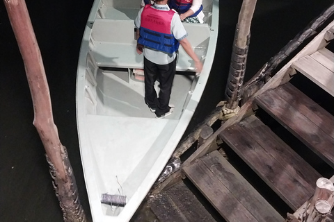 Bintan Tour Mangrove or Fireflies Fireflies Tour