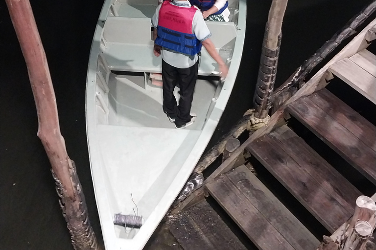 Bintan Tour Mangrove or Fireflies Fireflies Tour