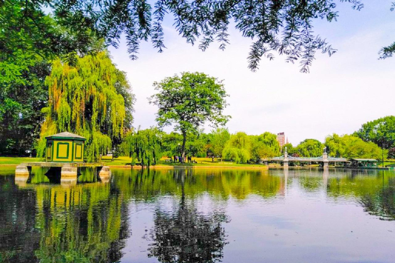 From Boston:Public Garden,Beacon Hill&More Half Day tour Tour Only