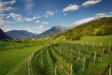 Innsbruck: Guided City Tour with Wine Tasting