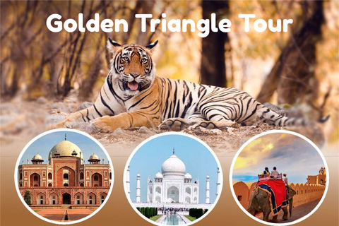 From Delhi: 3-Day Golden Triangle Tour with Tiger Safari All Inclusive 3days Golden Triangle Tour with 4*Star Hotel