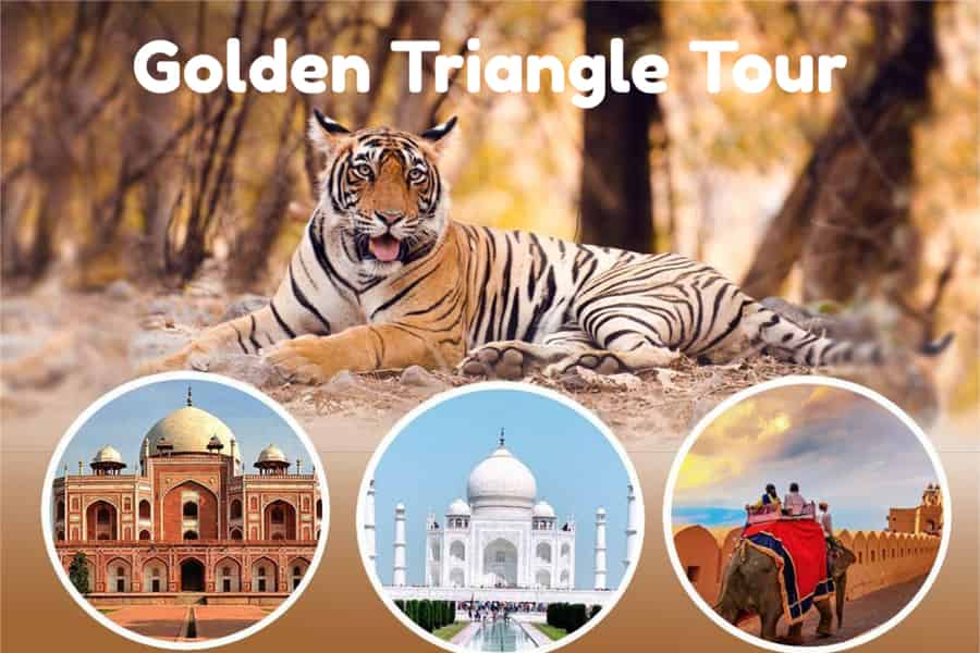 Ab Delhi: 3-tägige Goldenes-Dreieck-Tour mit Tiger-Safari. Foto: GetYourGuide