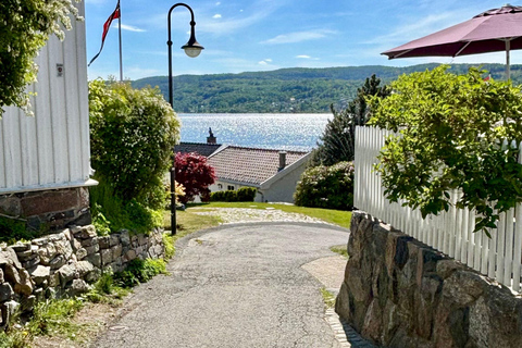 From Oslo: Drøbak and Oscarsborg Fortress Day Trip