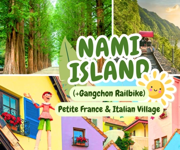Seoul: Nami Island & Petite France Tour with Railbike Option
