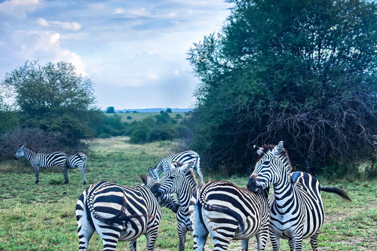 Nairobi: Lake Nakuru National Park Safari with Lunch