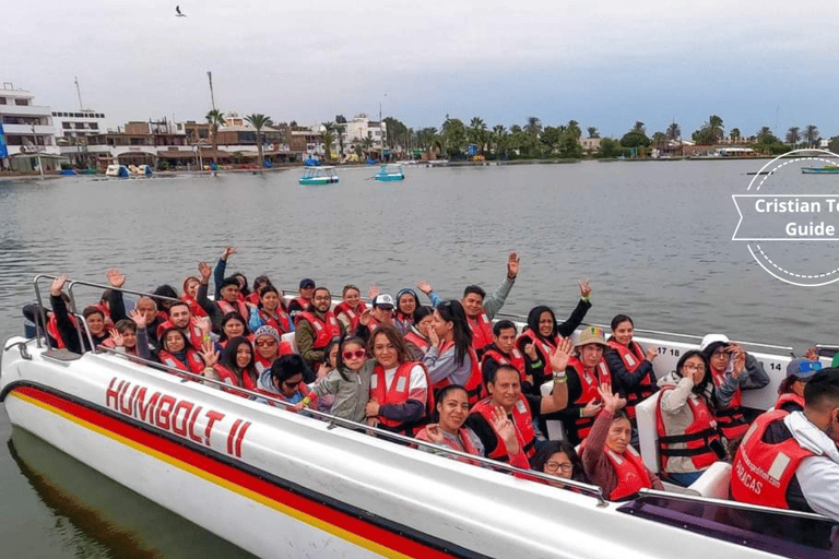 From Lima: Excursion Oasis de Huacachina, Islas Ballestas! From Lima: Paracas, Huacachina, and Ballestas Islands Day …