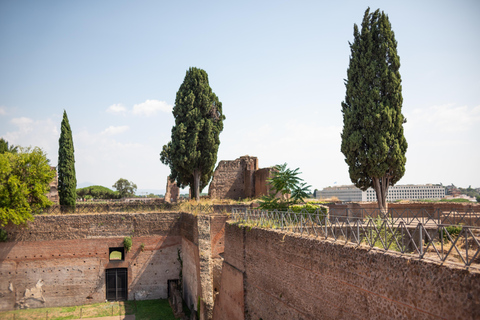 Rome : Le Colisée, le Forum et le Palatin Hosted Skip-the-LineRome : Colisée, Forum et Colline Palatine Billets coupe-file