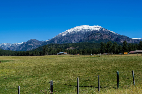 Stepantsminda: Horse Riding Tour with Lunch and Photoshoot