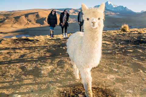 La Paz: Emerald Lagoon and Milluni Historic Route