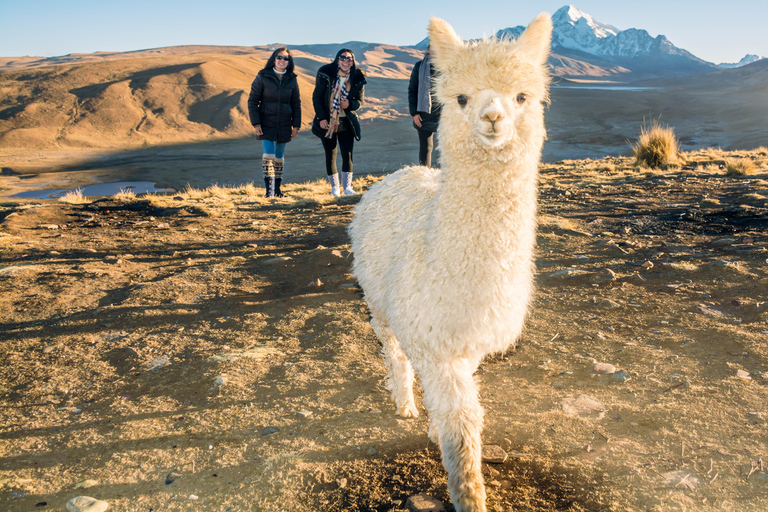 La Paz: Emerald Lagoon and Milluni Historic Route