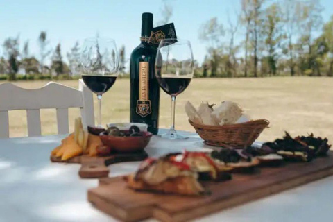 Colonia: Coastal Tour and Exclusive Wine Tasting at a Vineyard Cologne: Coast Tour and Exclusive Wine Tasting in a Vineyard