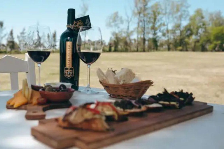Colonia: Coastal Tour and Exclusive Wine Tasting at a Vineyard Cologne: Coast Tour and Exclusive Wine Tasting in a Vineyard