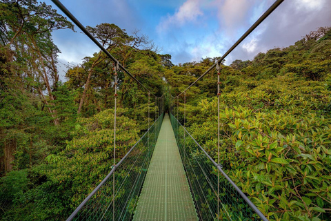 Monteverde: Cloud Forest Hanging Bridges Tour