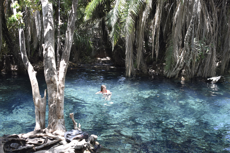 Tanzania: 8-Day Road Trip to Kilimanjaro, Lushoto & More