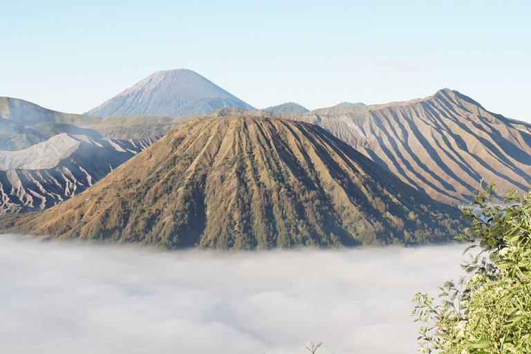 Surabaya/Malang/Probolinggo: 2D1N Bromo & Ijen W/ Bali drop Malang:2D1N budget sharing tour Bromo & Ijen W/ Bali dropoff