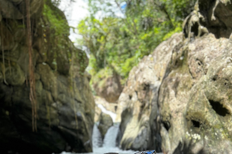 Fajardo : randonnée dans la forêt d'El Yunque, chutes d'eau et toboggan aquatiqueFajardo : Randonnée dans la forêt d'El Yunque, chutes d'eau et toboggan aquatique