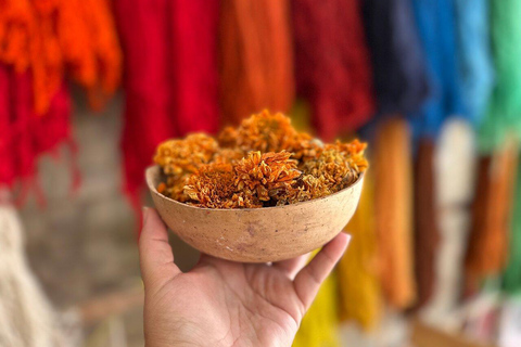 Oaxaca Hierve el Agua, Mitla, Árbol del Tule &amp; Mezcal