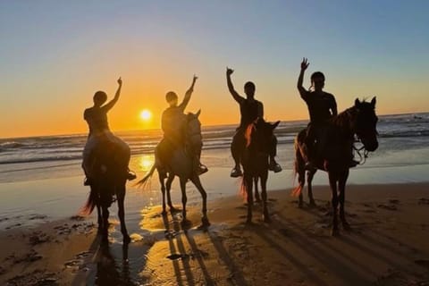 Gianyar: Family-Friendly Horse Riding Tour