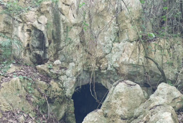 Private Ancient Cave Art & Taíno Heritage Expedition