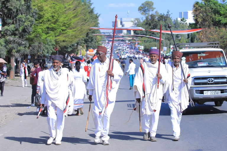 من أديس أبابا: رحلة نهارية من أديس أبابا إلى بحيرة ونشي كريتر مع وجبة غداء