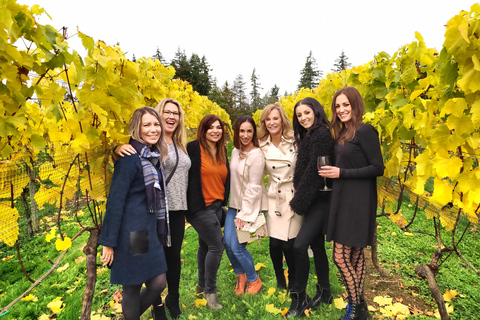 Da Vancouver: Tour di mezza giornata del vino della Fraser Valley