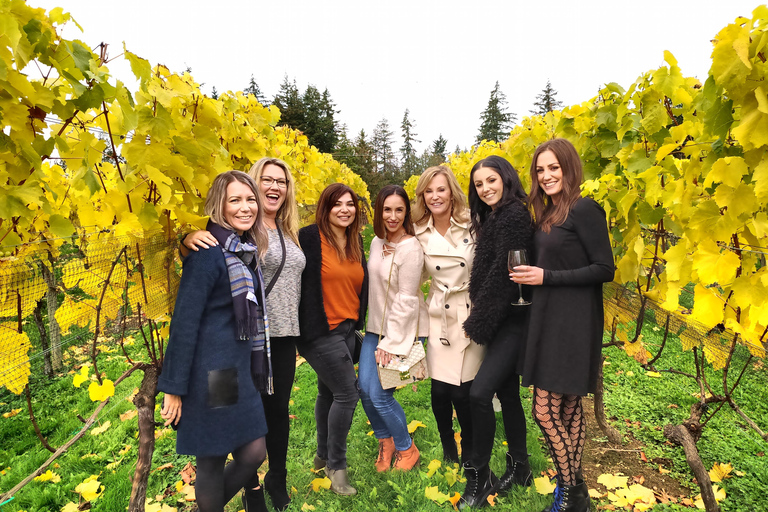 De Vancouver: Excursão de meio dia ao vinho de Fraser Valley