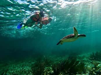 Puerto Morelos: Snorkeling Guided Activity
